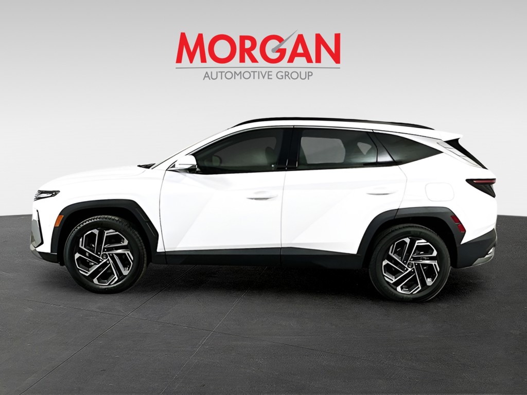Used 2025 White Hyundai Limited image 3