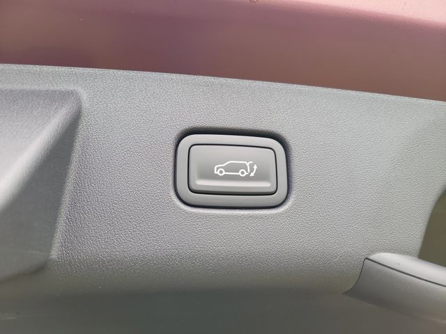 New 2027 Red Kia X-Line S image 8