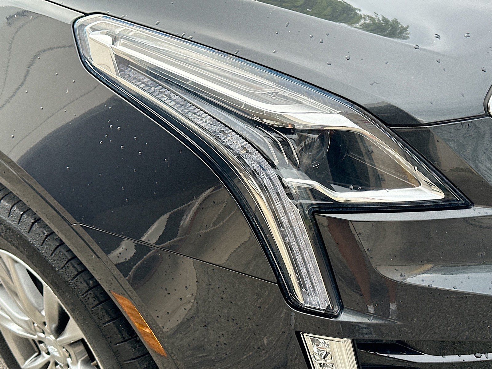 Used 2023 Wilder Metallic Cadillac Premium Luxury image 34