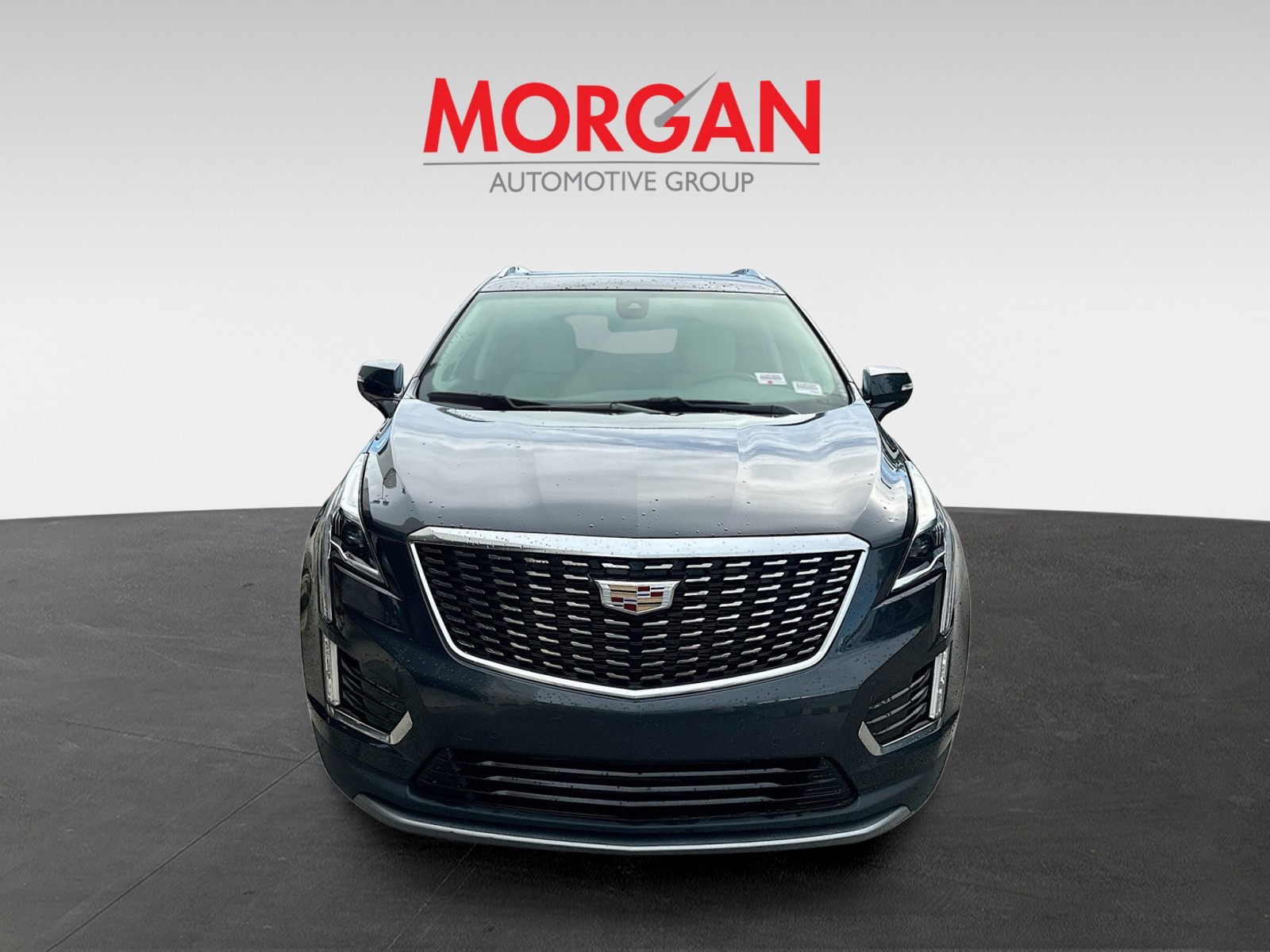 Used 2023 Wilder Metallic Cadillac Premium Luxury image 6