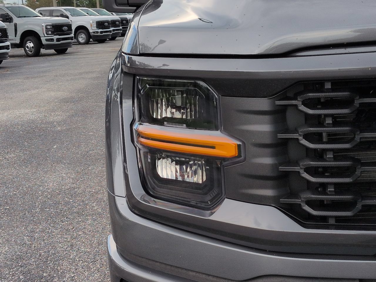 New 2026 Gray Ford STX image 10