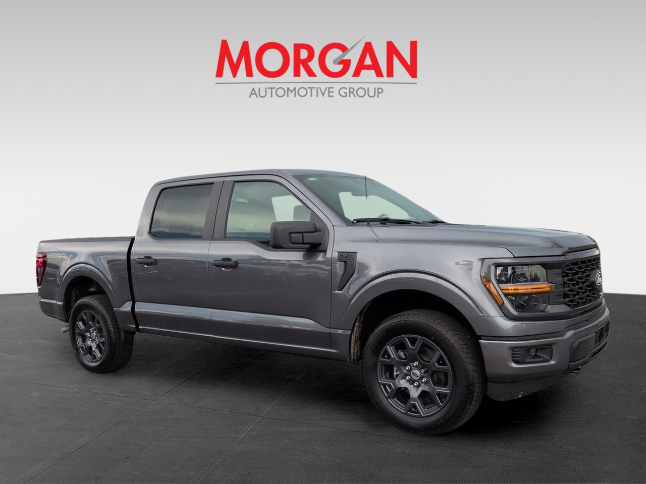 New 2026 Gray Ford STX image 2