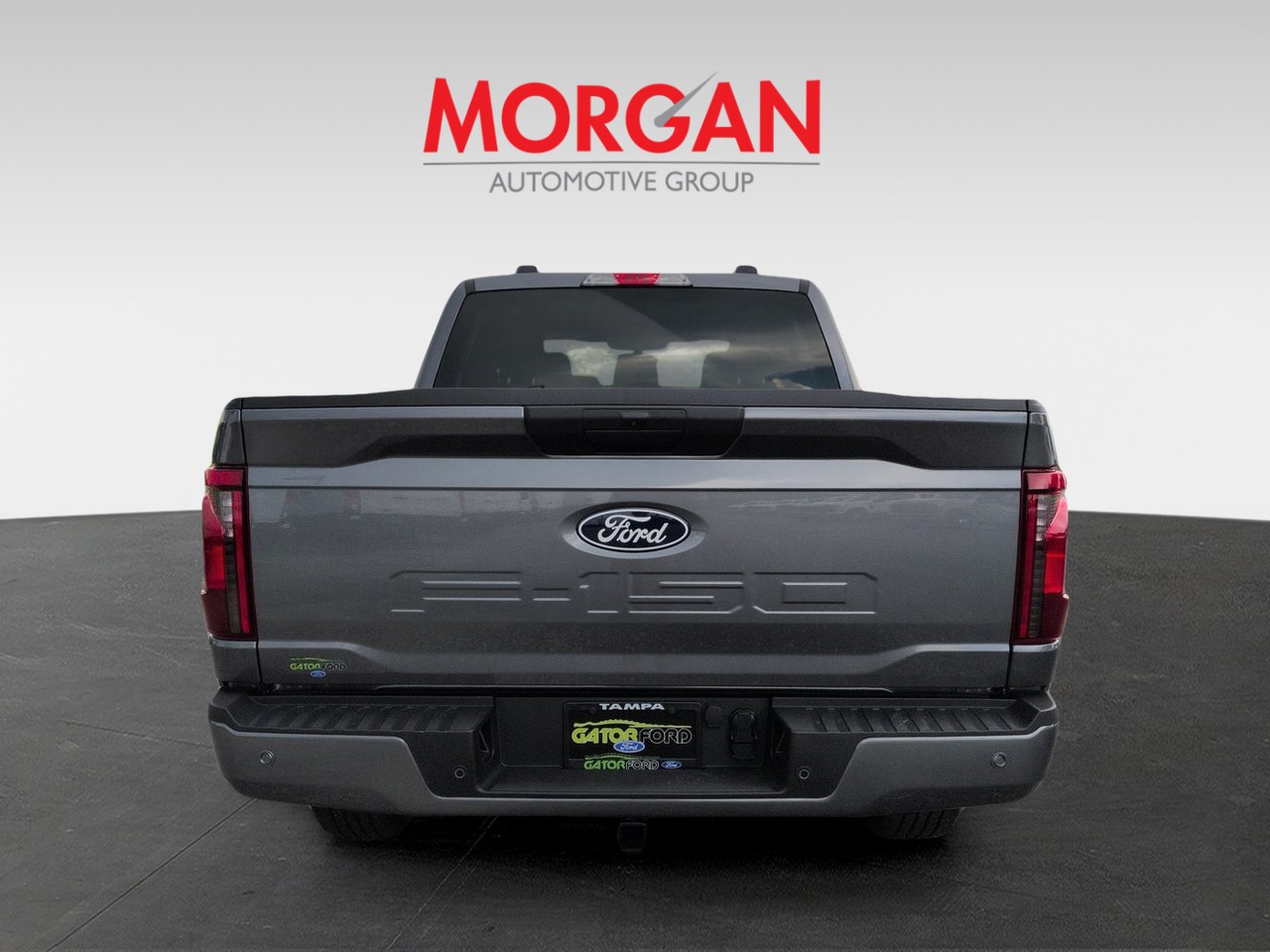 New 2026 Gray Ford STX image 6
