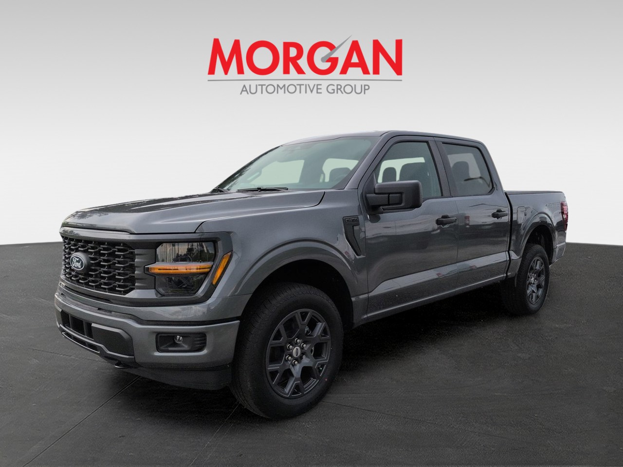 New 2026 Gray Ford STX image 9