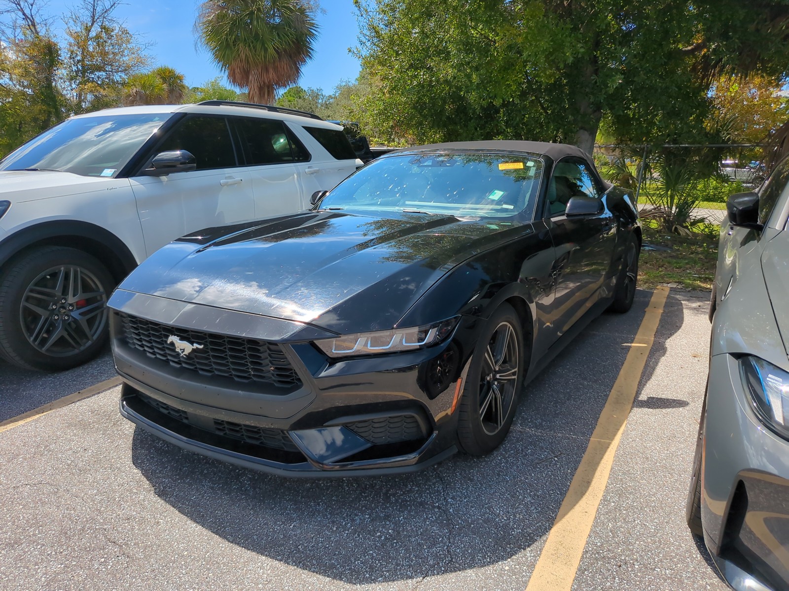 Certified Used 2024 Black Ford EcoBoost Premium image 5