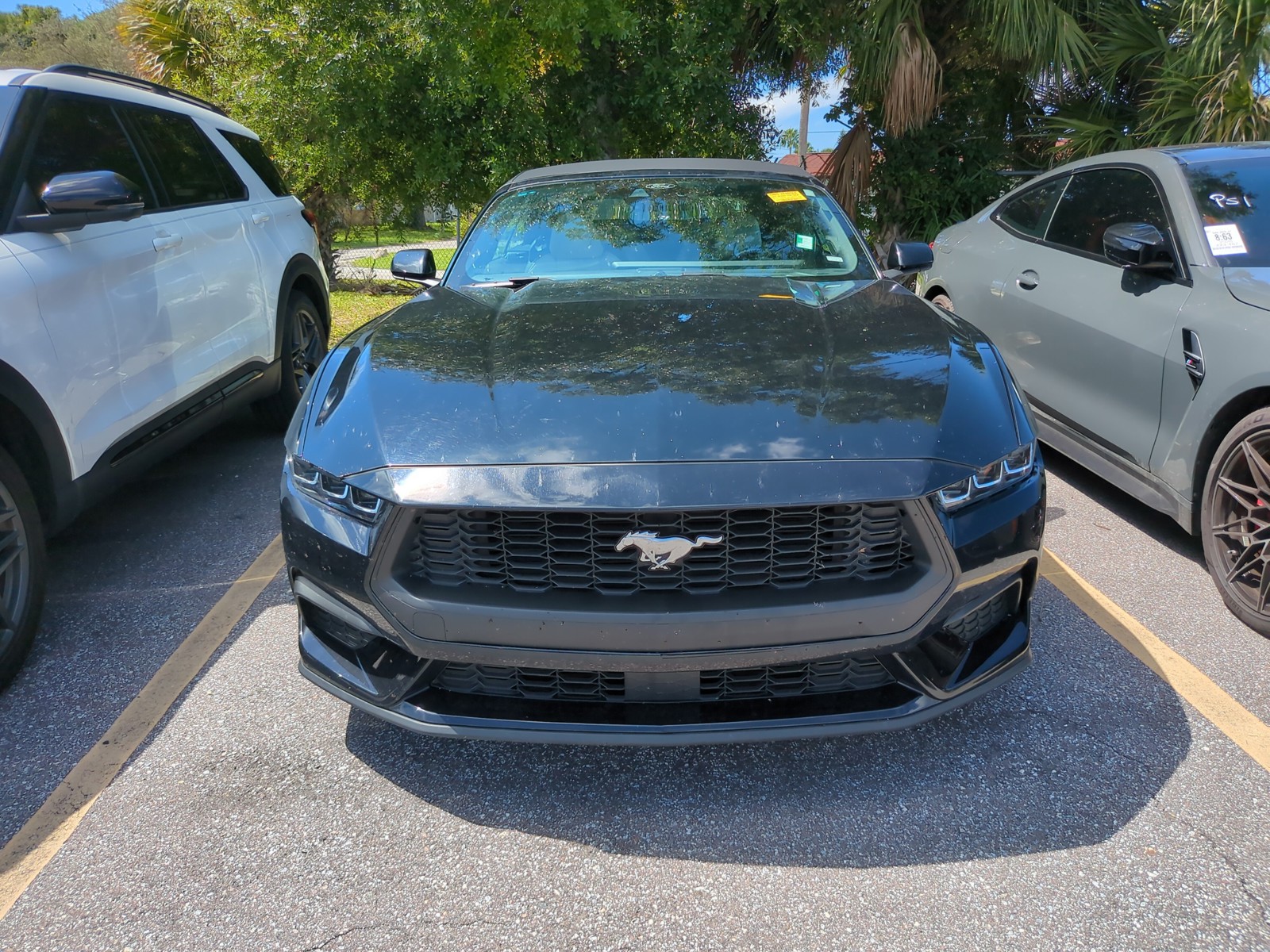 Certified Used 2024 Black Ford EcoBoost Premium image 3