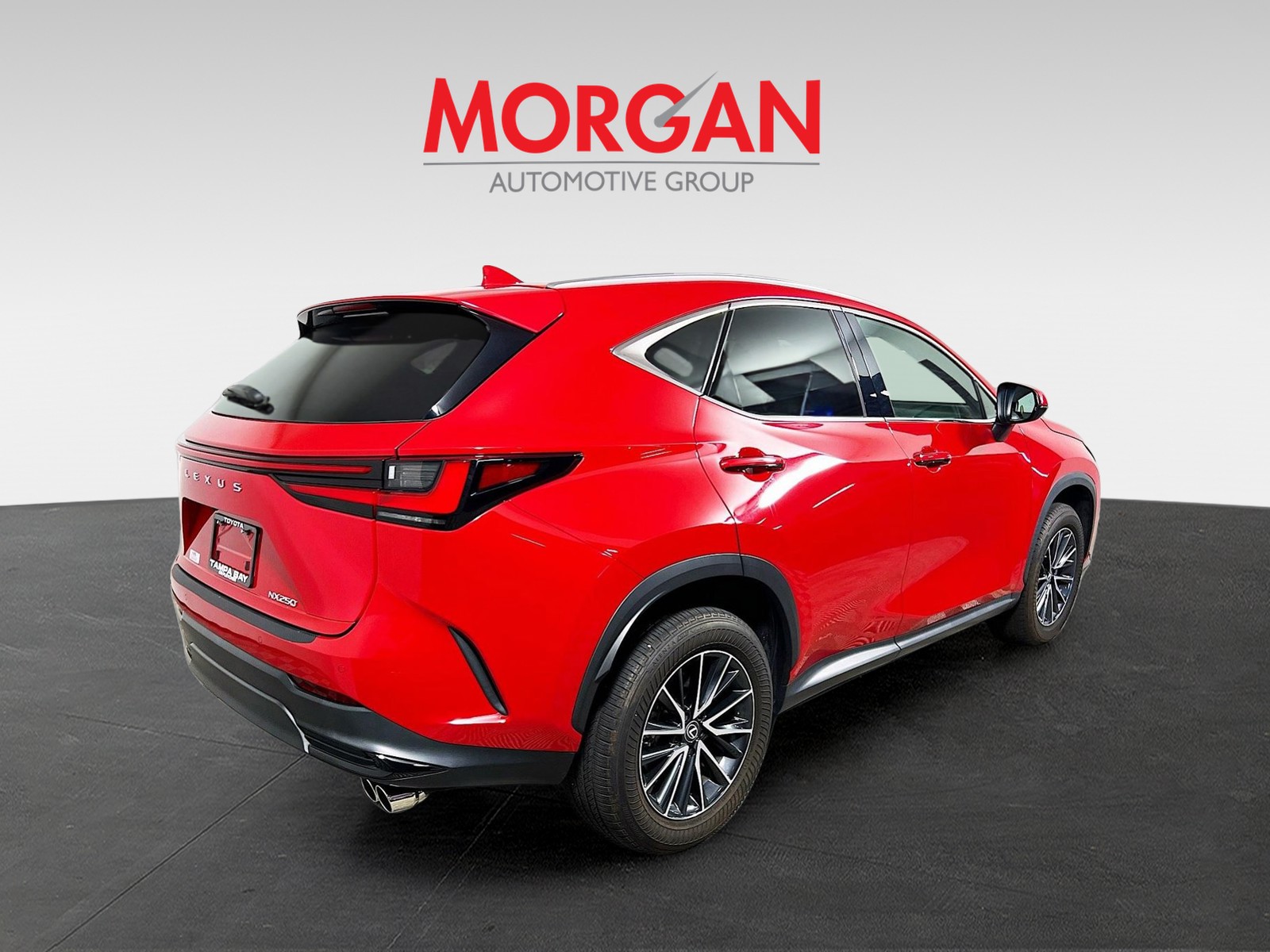 Pre-Owned 2024 Lexus NX 250 Premium 4D Sport Utility in #3050583A