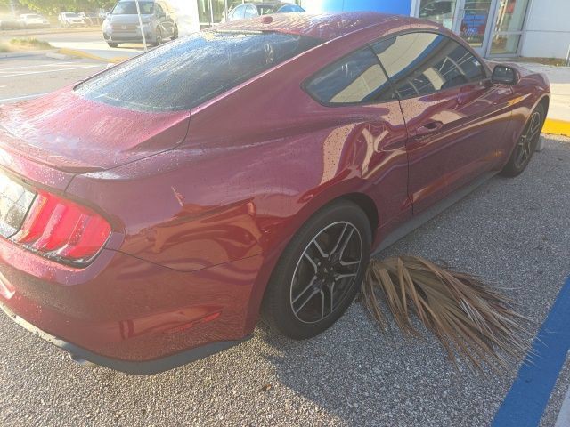 Used 2019 Ruby Red Metallic Tinted Clear Coat Ford EcoBoost image 6