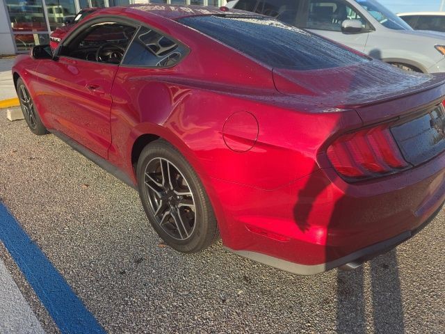 Used 2019 Ruby Red Metallic Tinted Clear Coat Ford EcoBoost image 8