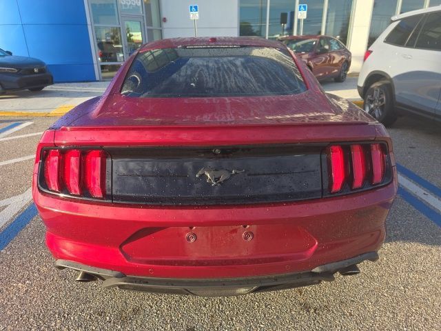 Used 2019 Ruby Red Metallic Tinted Clear Coat Ford EcoBoost image 7