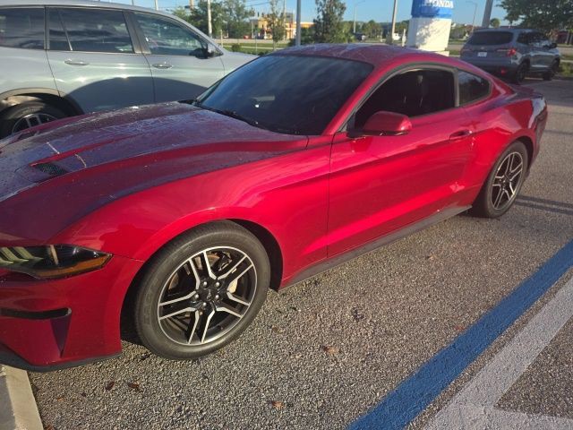 Used 2019 Ruby Red Metallic Tinted Clear Coat Ford EcoBoost image 13