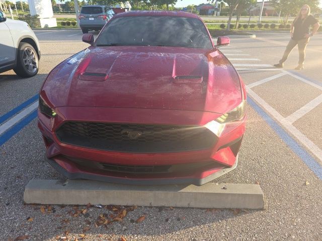 Used 2019 Ruby Red Metallic Tinted Clear Coat Ford EcoBoost image 14