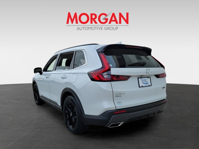 Used 2024 Platinum White Pearl Honda Sport image 4