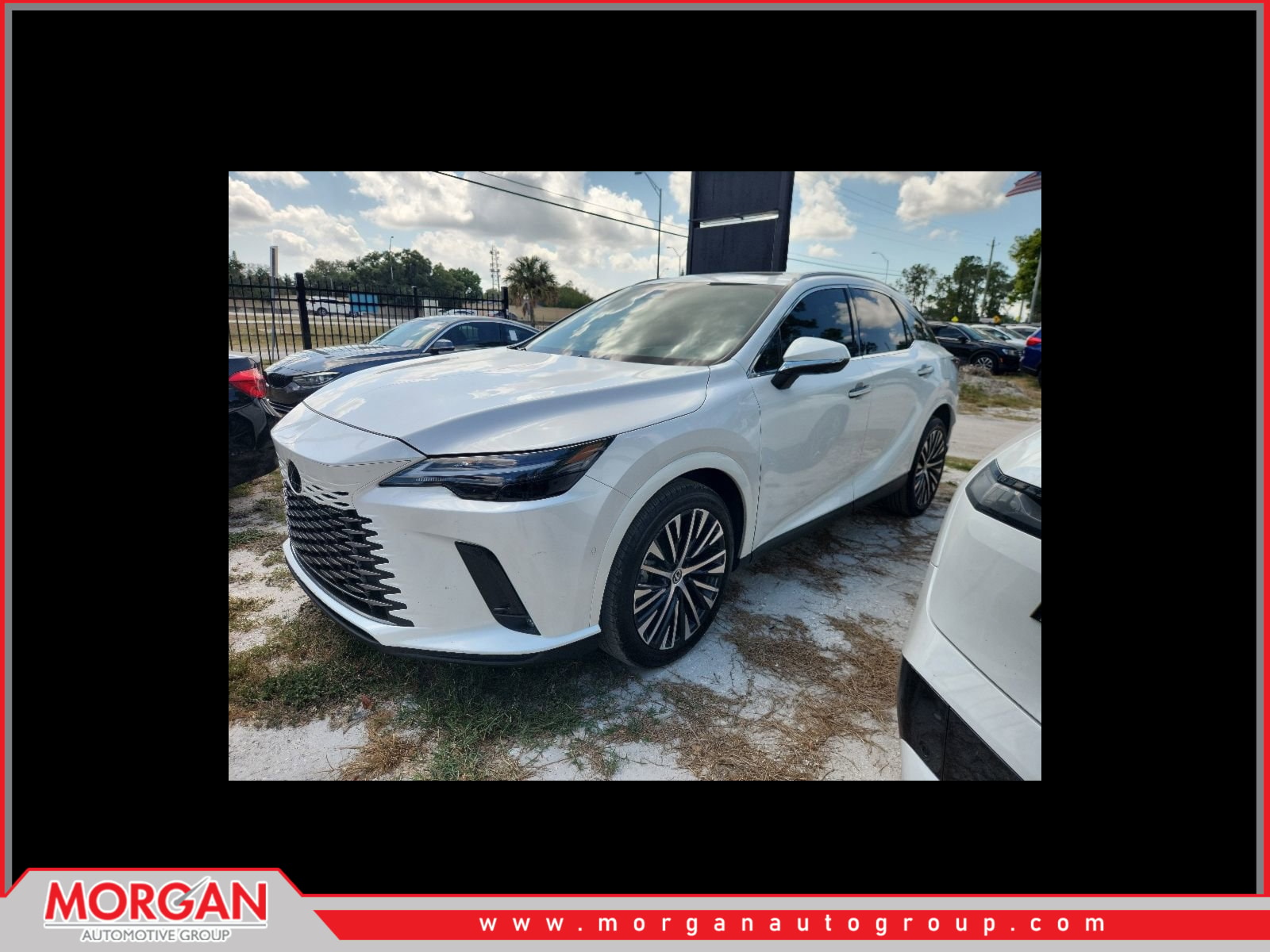 2024 Lexus RX
