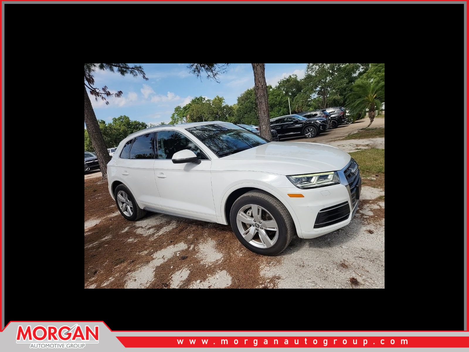 2019 Audi Q5