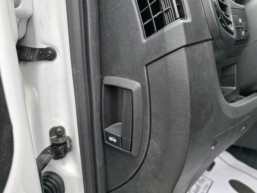 New 2025 White Ram Step Van image 19