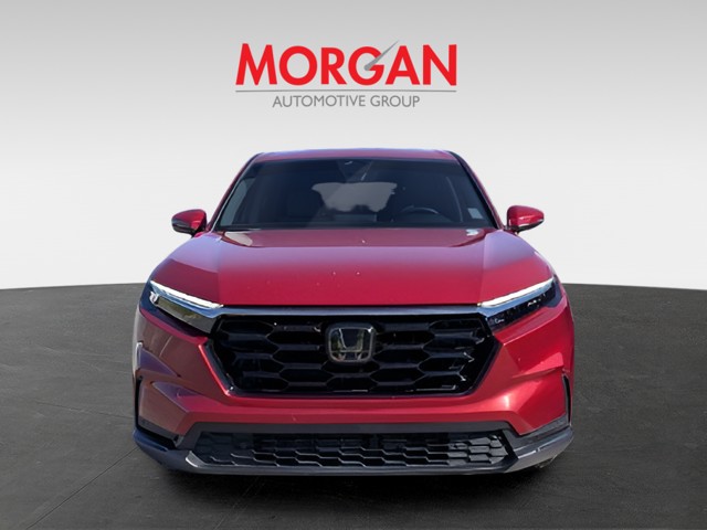 Used 2024  Honda EX-L image 7