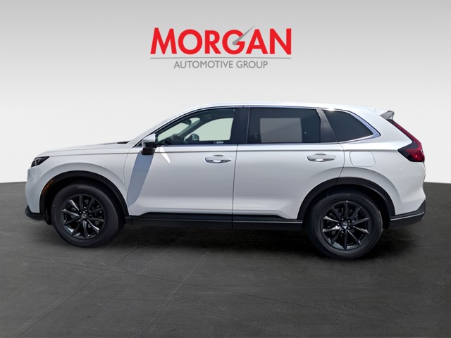 New 2026 White Honda EX-L image 6
