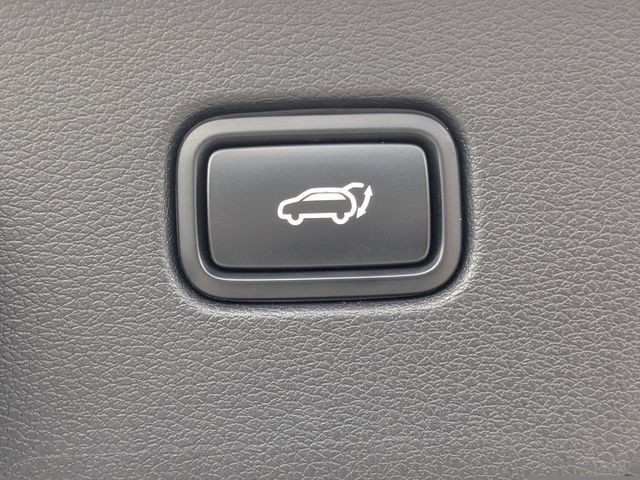 Used 2023 Black Kia X-Line image 13