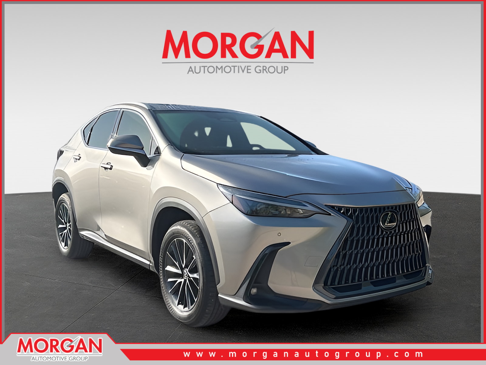 2025 Lexus NX