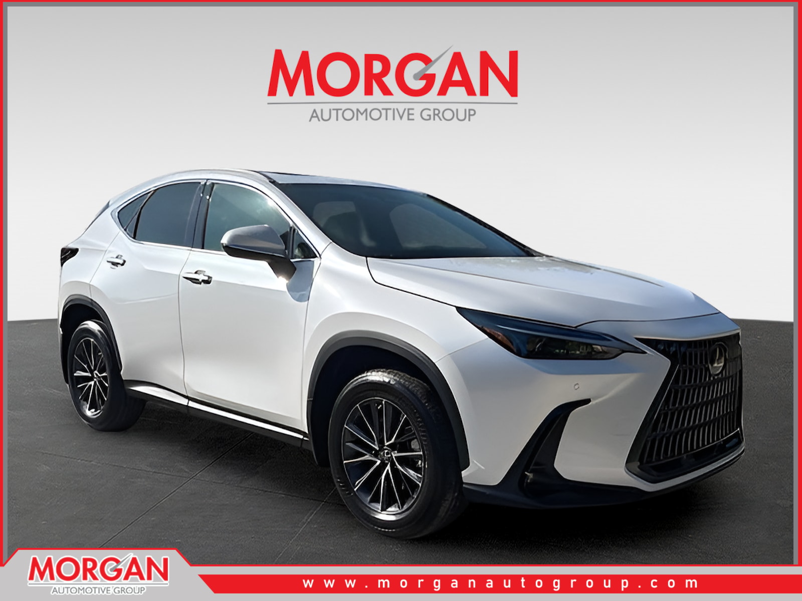 2024 Lexus NX