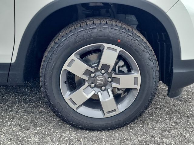 New 2026 Platinum White Pearl Honda RTL image 9