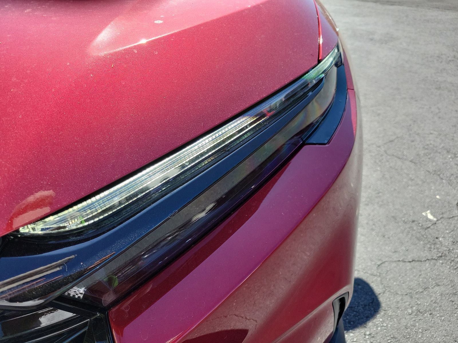 New 2026 Radiant Red Metallic Honda Sport image 9