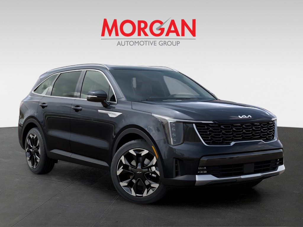 New 2026 Panthera Metal Kia EX image 8