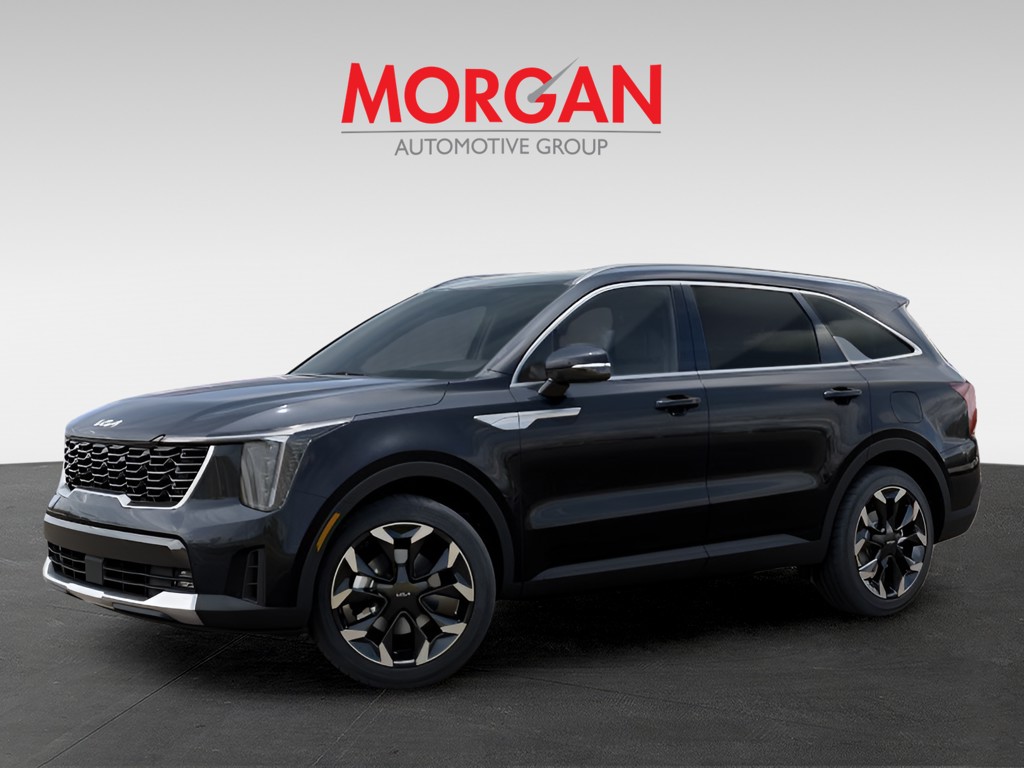 New 2026 Panthera Metal Kia EX image 3