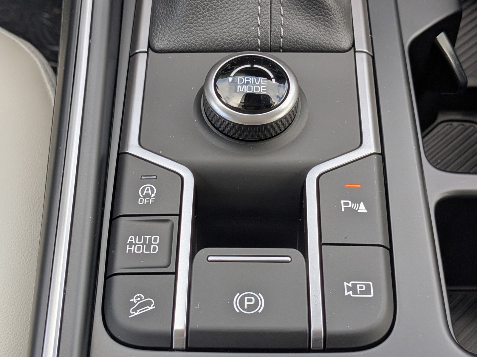 New 2026 Panthera Metal Kia EX image 26
