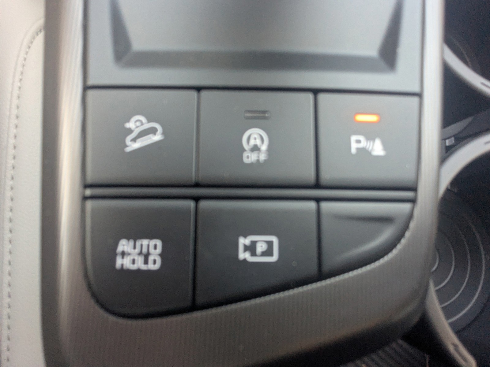 New 2026 Panthera Metal Gray Kia EX image 29