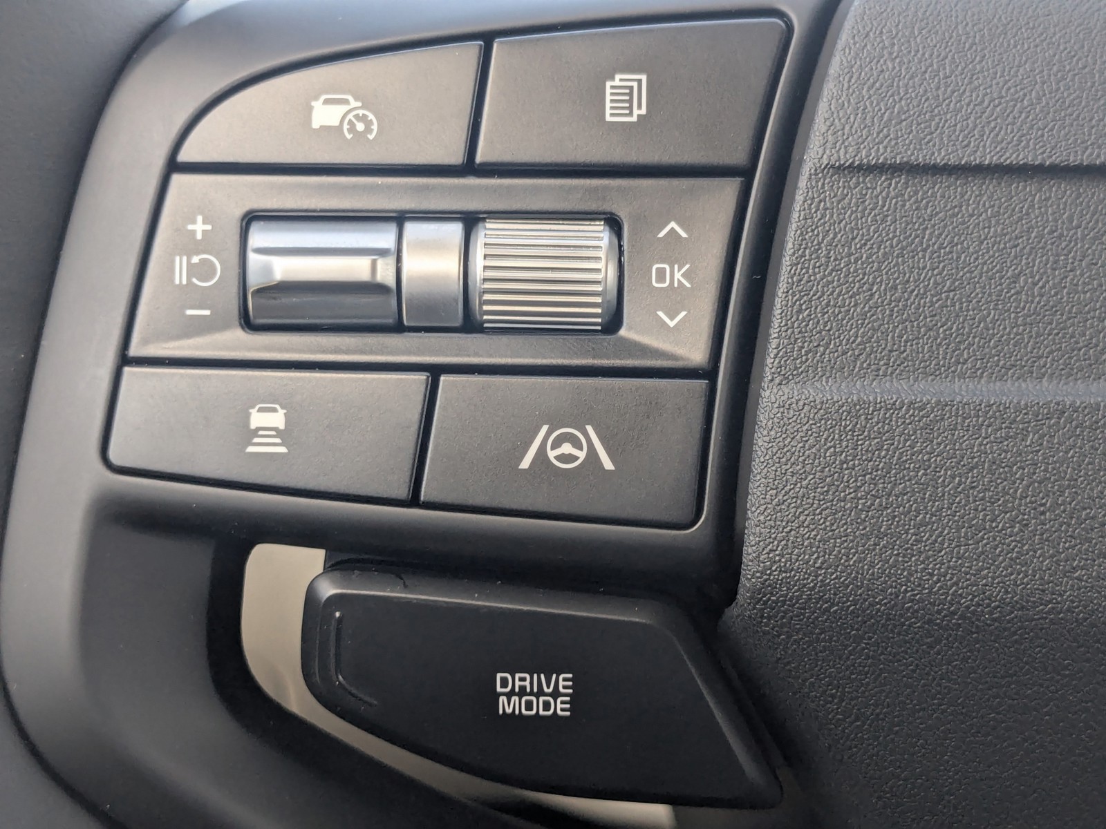 New 2026 Panthera Metal Gray Kia EX image 33