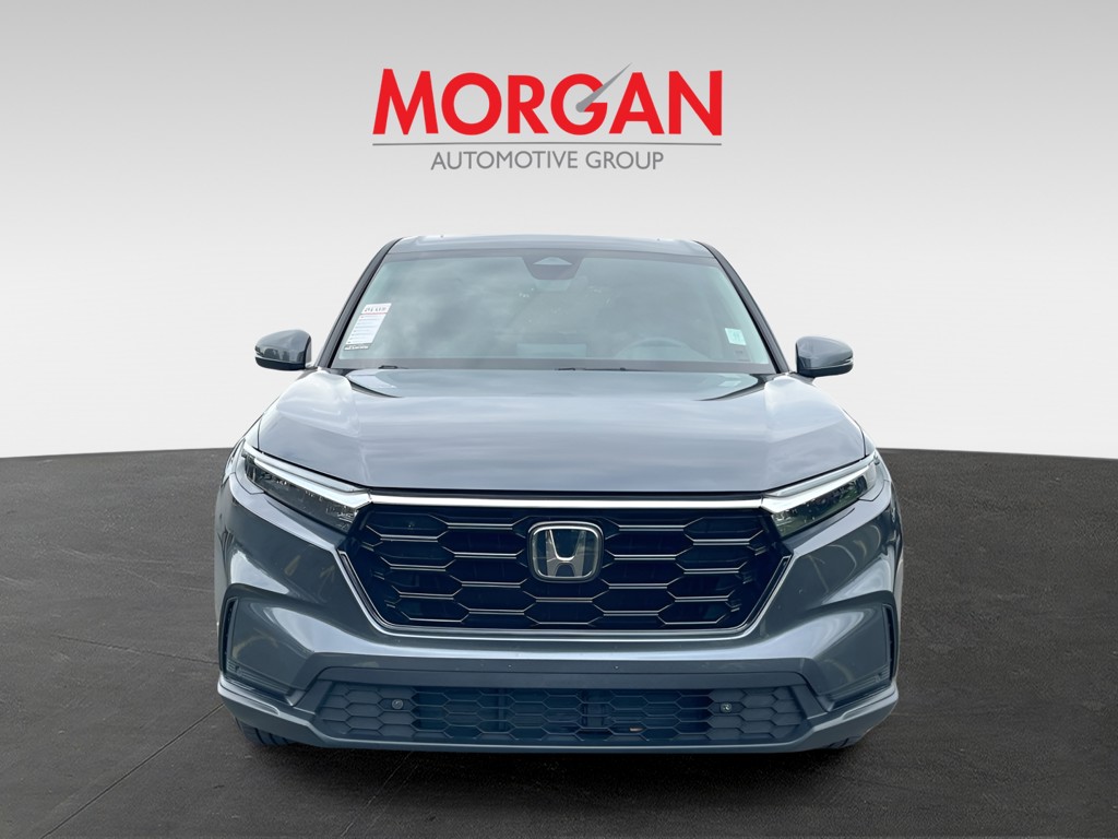 Used 2023 Gray Honda EX-L image 2