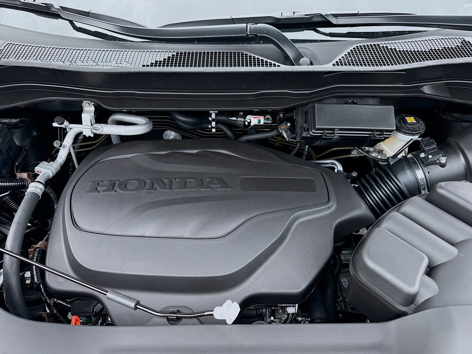 New 2026 Crystal Black Pearl Honda Black Edition image 26