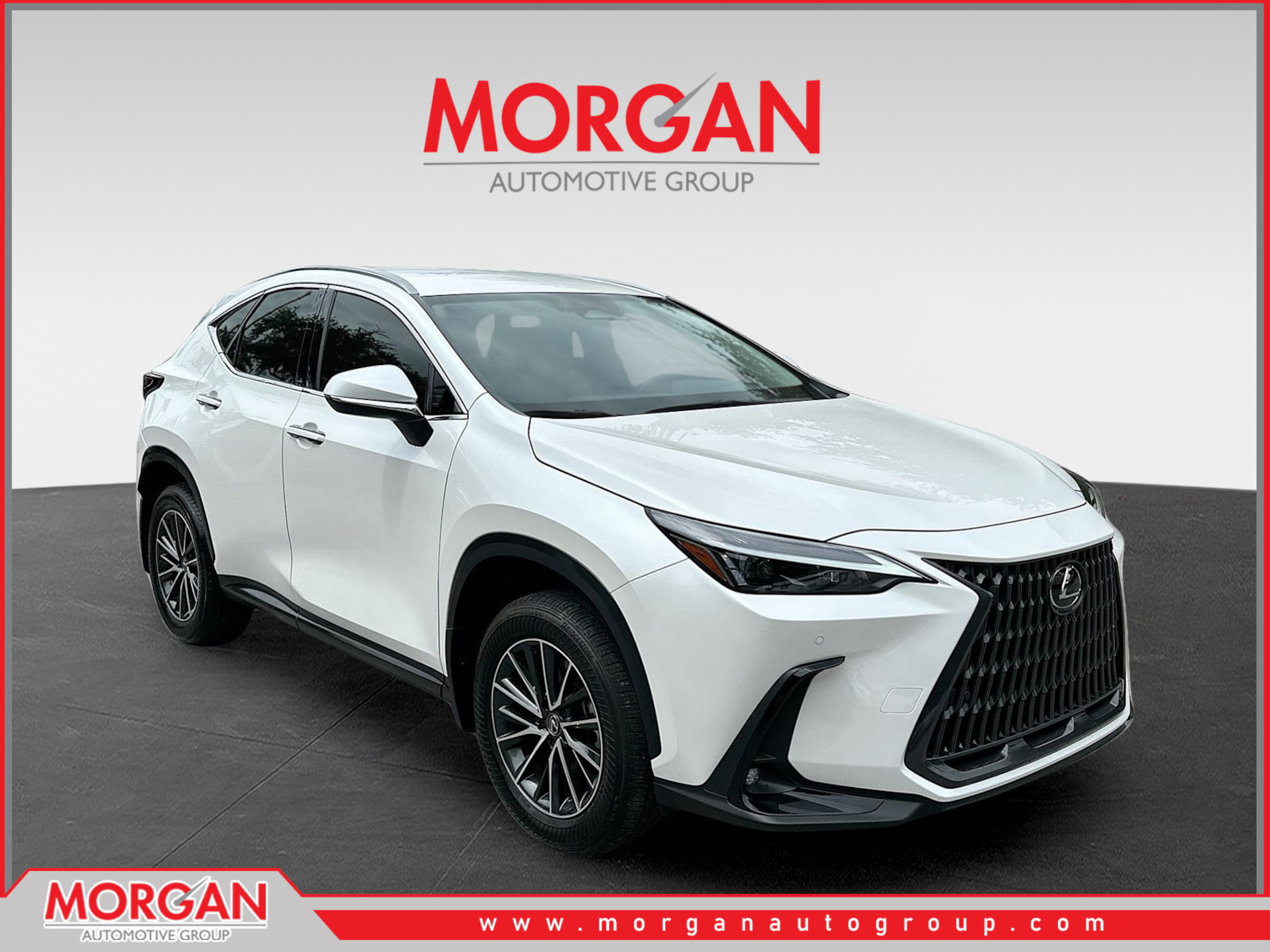 2025 Lexus NX
