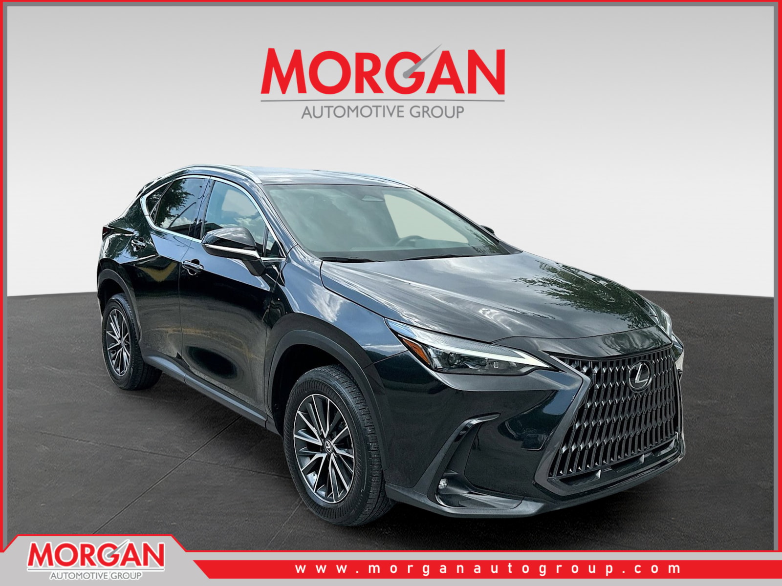 2024 Lexus NX