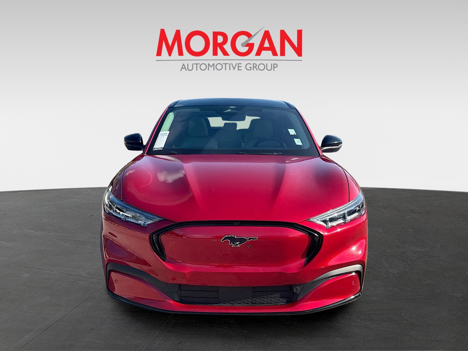 Used 2022 Ford Mustang Mach-E Premium RWD with VIN 3FMTK3R71NMA19374 for sale in Tampa, FL