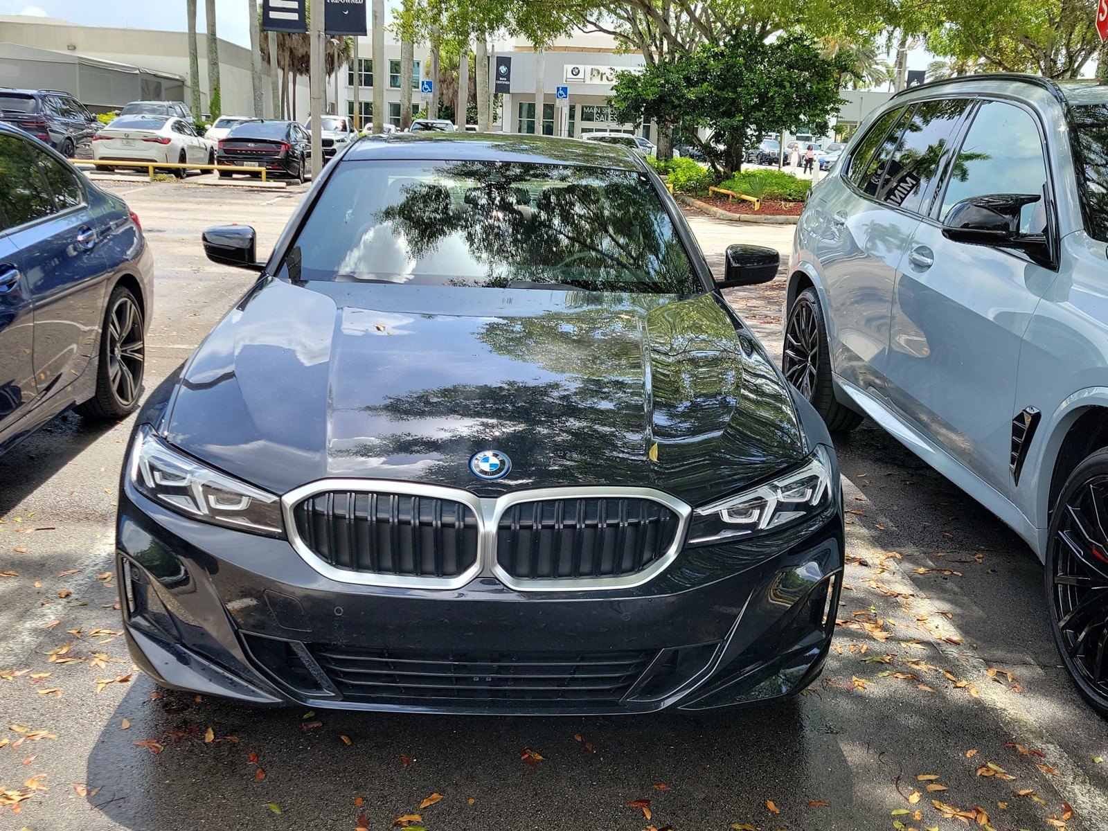 3MW39FF06P8C80923