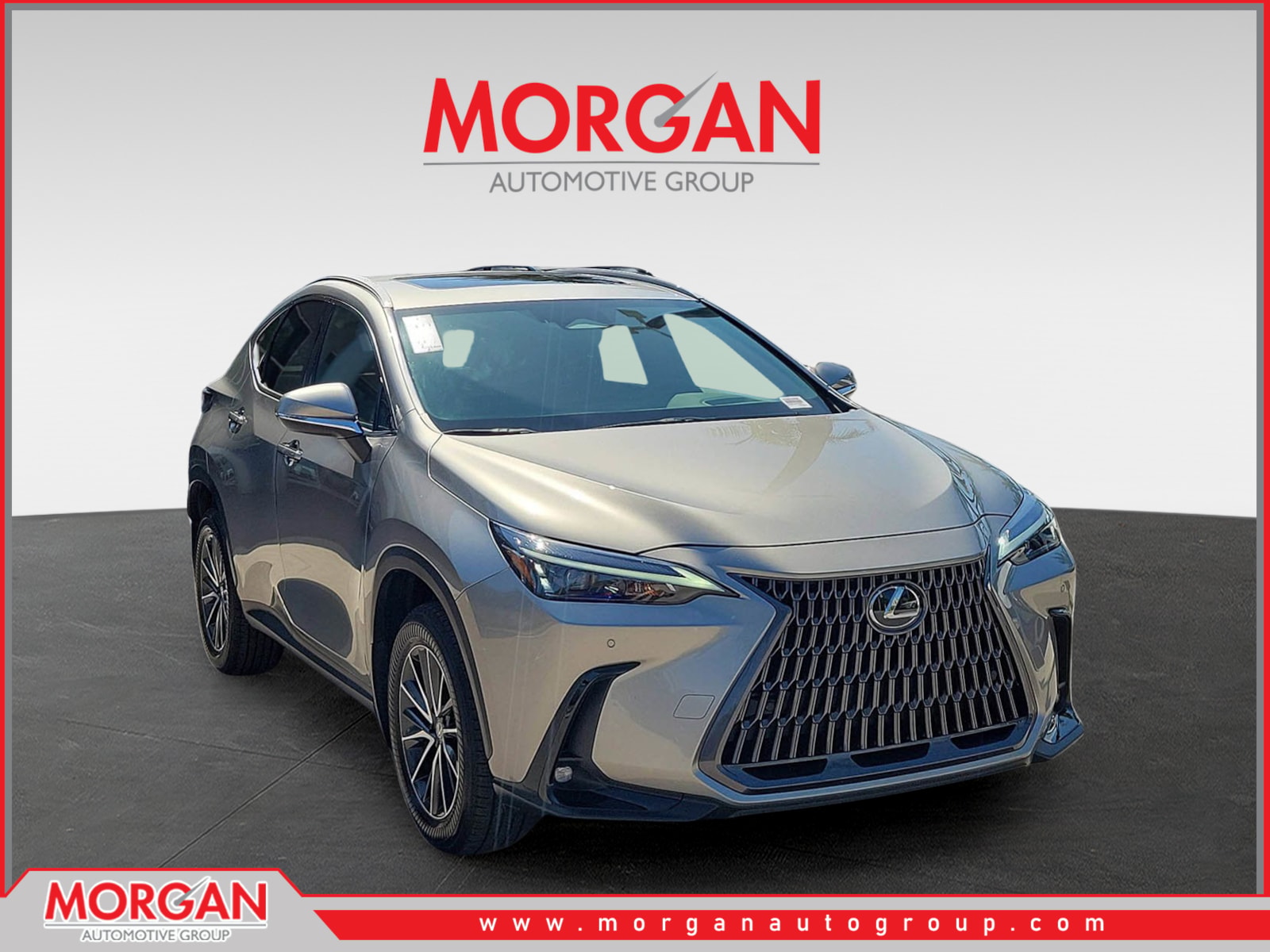 2024 Lexus NX