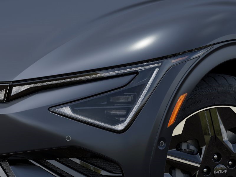 New 2026 Panthera Metal Matte Kia  image 10