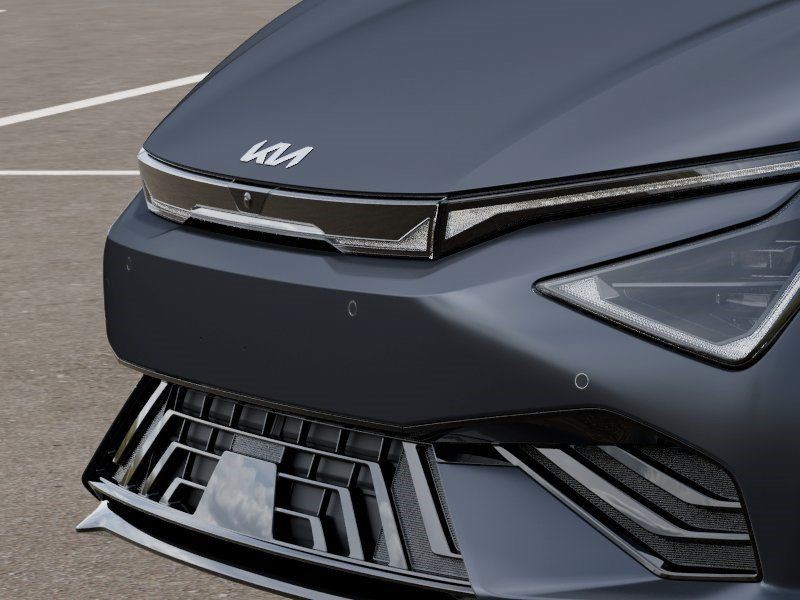 New 2026 Panthera Metal Matte Kia  image 12