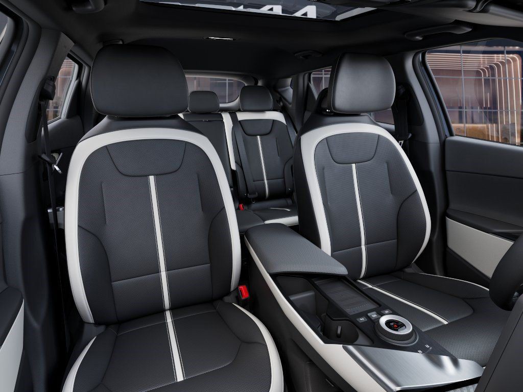 New 2026 Panthera Metal Matte Kia  image 15