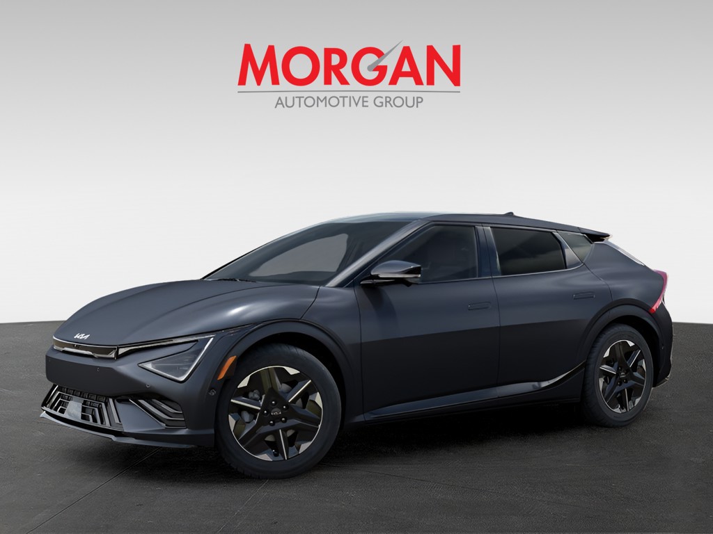 New 2026 Panthera Metal Matte Kia  image 3
