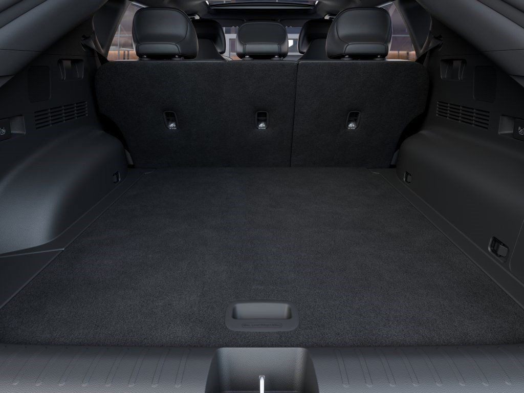 New 2026 Panthera Metal Matte Kia  image 19