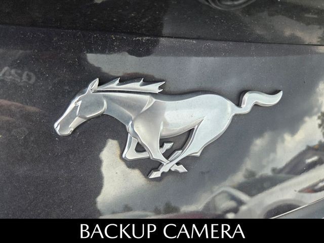 Used 2024 Gray Ford EcoBoost image 6