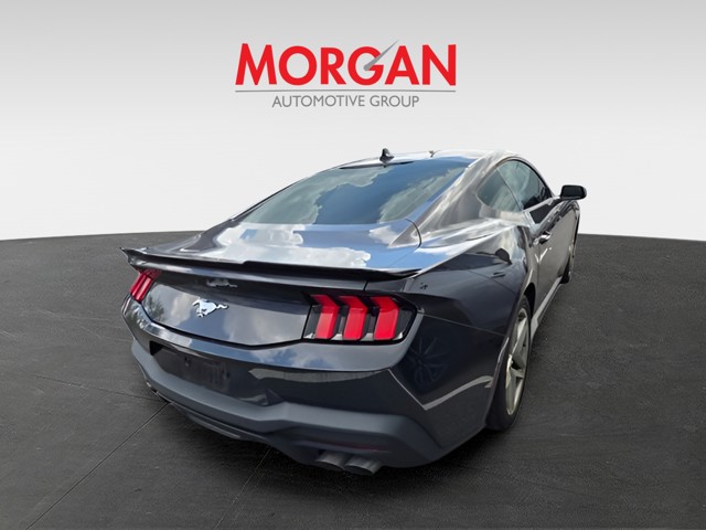 Used 2024 Gray Ford EcoBoost image 4