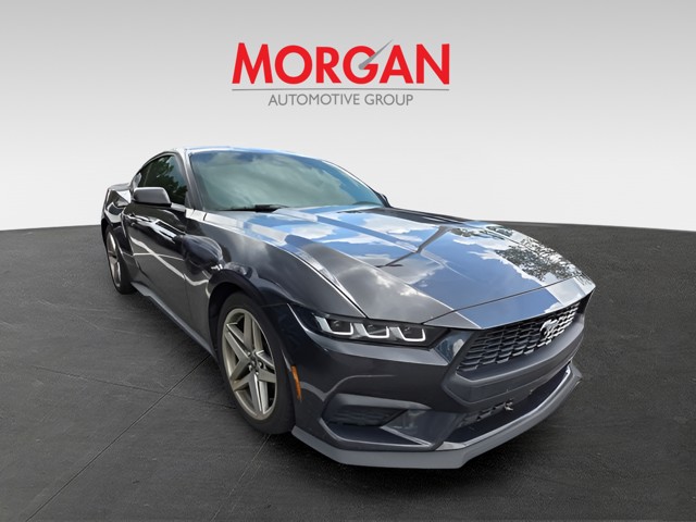 Used 2024 Gray Ford EcoBoost image 3