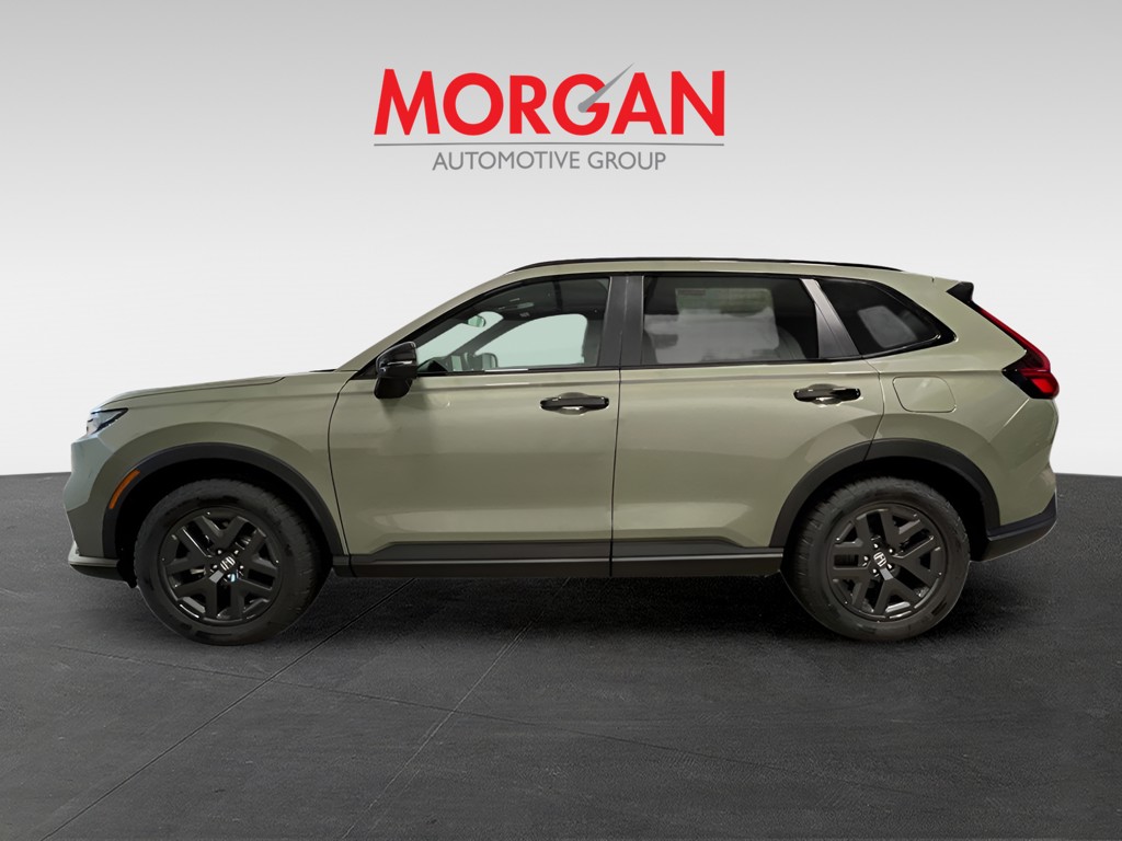 New 2026 Ash Green Metallic Honda TrailSport image 6
