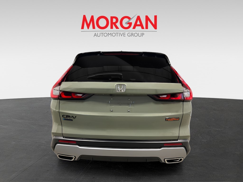New 2026 Ash Green Metallic Honda TrailSport image 5