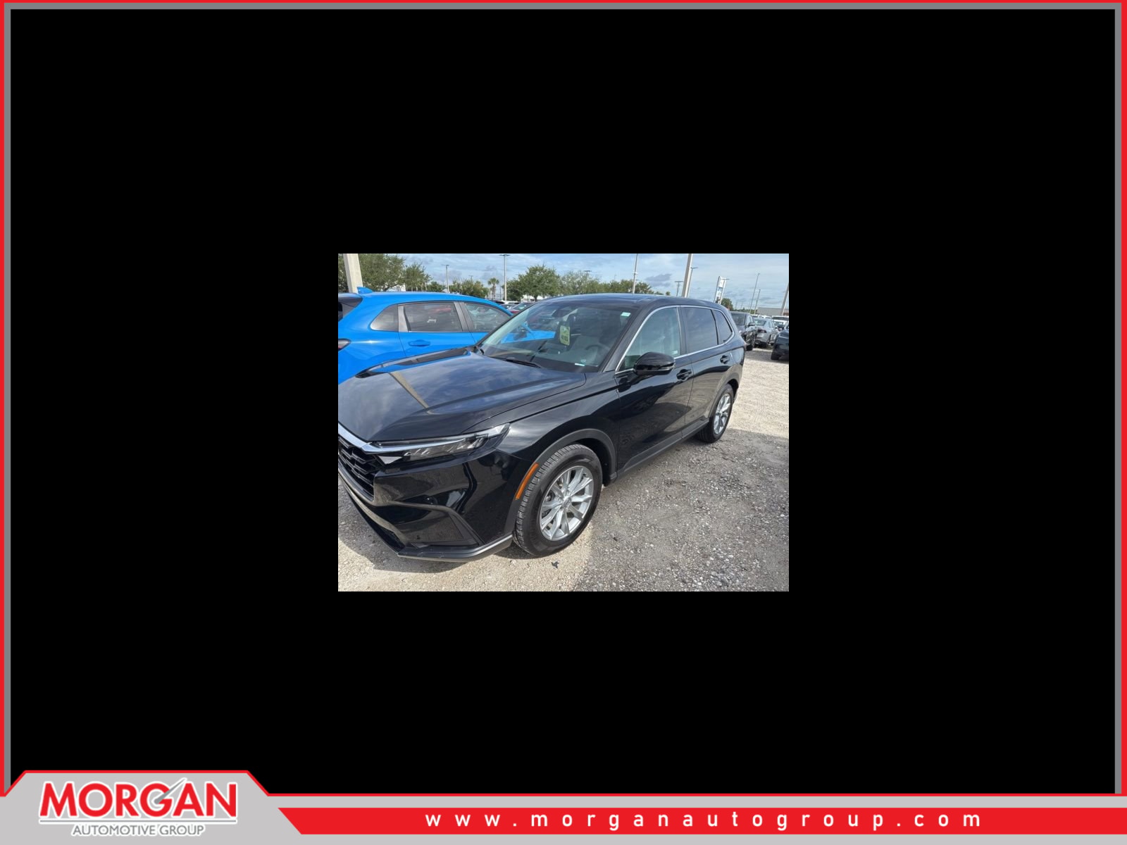 2025 Honda CR-V EX 2WD's photo